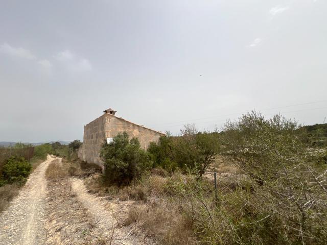 TERRENO EN VENTA EN MURO photo 0