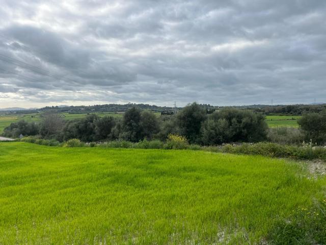TERRENO EN VENTA photo 0