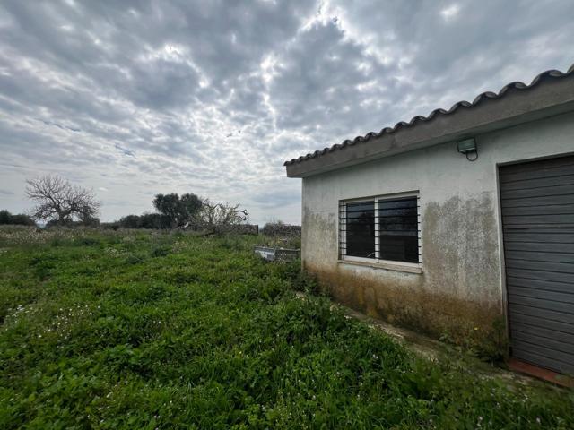 FINCA RUSTICA EN VENTA photo 0