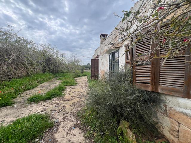 FINCA RUSTICA EN VENTA photo 0