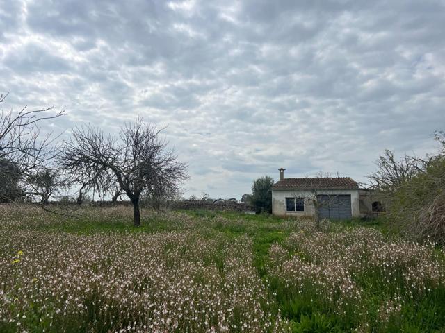 FINCA RUSTICA EN VENTA photo 0