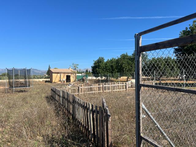 TERRENO CON CASETA EN SANTA EUGENIA photo 0