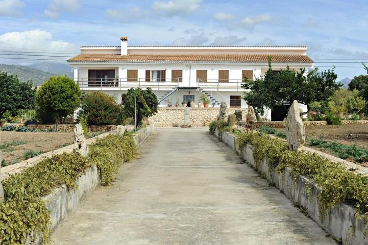 ESPECTACULAR FINCA RUSTICA EN INCA photo 0