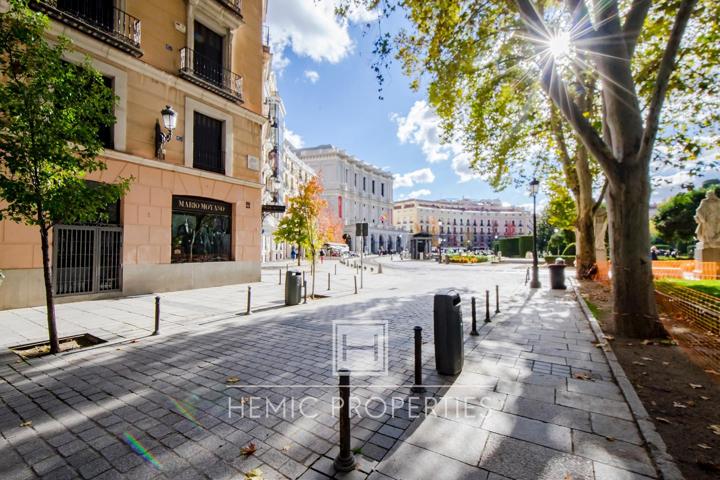 Vivir la Ópera de Madrid photo 0