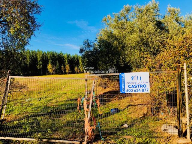 Castro Inmobiliaria vende parcela RÚSTICA Talavera Camino Bárrago 5.458 metros CAMINO ASFALTADO photo 0