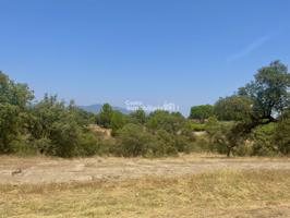 En Castro inmobiliaria venta terreno Urbanización Serranillos Playa en San Román de los Montes 2.760 metros photo 0