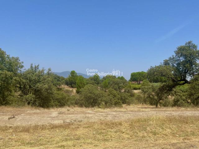 Castro Inmobiliaria vende parcela Urbanización Serranillos Playa en San Román de los Montes 2.760mts Cabo La Nao photo 0