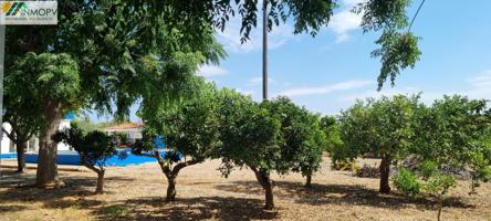 GRAN FINCA RUSTICA EN ZONA DEVESES COSTA NORTE VINAROS photo 0