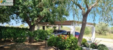 GRAN FINCA RUSTICA EN ZONA DEVESES COSTA NORTE VINAROS photo 0