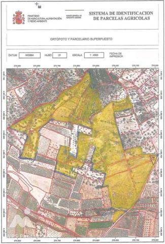 EN VENTA FINCA DE 218.000M² EN TERMINO DE CALIG (CASTELLON). photo 0