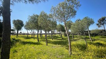 Terreno Urbanizable En alquiler en San Nicasio, Leganes photo 0