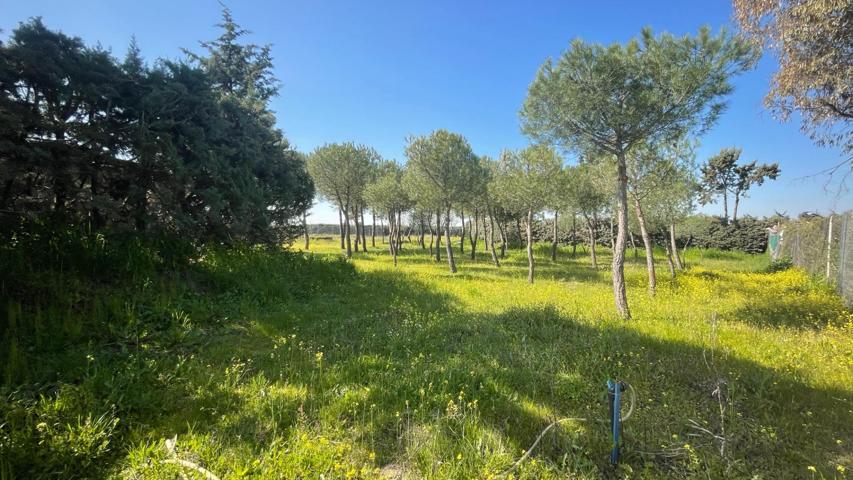 Terreno Urbanizable En alquiler en San Nicasio, Leganes photo 0