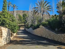 Espectacular Finca-Hotel con pinada de 50.000 m2 photo 0