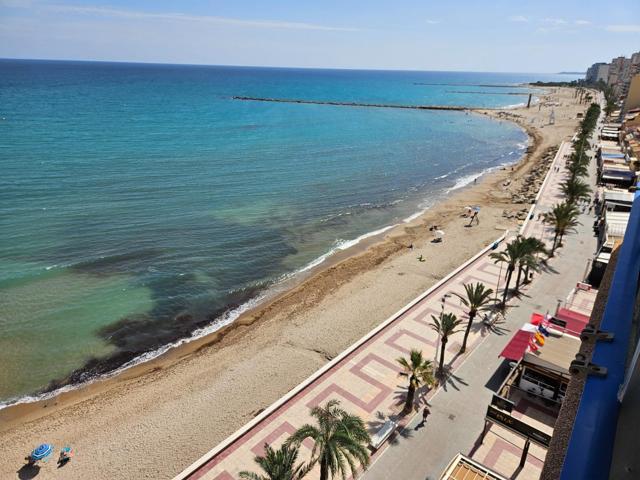 Alquiler en Playa El Campello photo 0