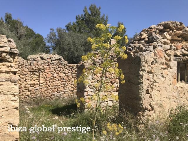 Casa En venta en Santa Eulària Des Riu photo 0