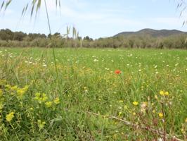 Otro En venta en Sant Josep De Sa Talaia photo 0