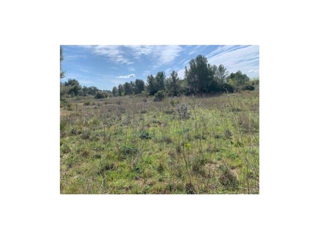 Terreno en venta en El Pla de Santa Maria photo 0