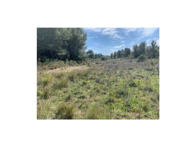 Terreno en venta en El Pla de Santa Maria photo 0