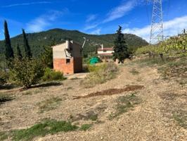 Cabra del Camp: ¡¡Precio de risa!! SOLO 26.000€ No tiene energía ní agua.  Bonita casita de planta baja y altillo con u photo 0