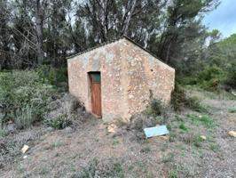 ¡Increible finca rústica en el Pla de Sta María. Posee en la finca 2 casetas de herramientas muy bien orientadas, de 26 photo 0