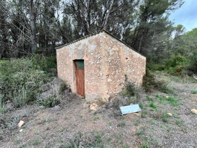 ¡Increible finca rústica en el Pla de Sta María. Posee en la finca 2 casetas de herramientas muy bien orientadas, de 26 photo 0