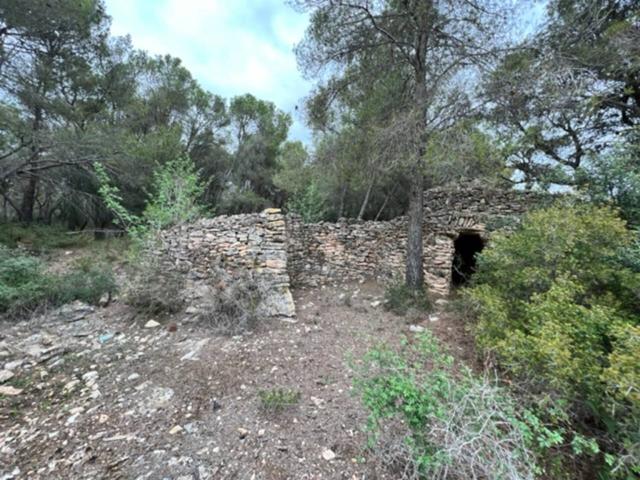 ¡¡Si quieres intimidad y estar cerca de todo, está es tú finca!! Si la ves, te la quedas!! Preciosa finca muy discreta c photo 0
