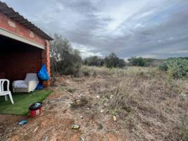 Finca rústica en Vilallonga del Camp EN esta finca hay un total de unos casí 13.000 mtrs2 Más de 1, 2 Ha ste terreno rús photo 0