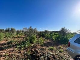 ¡Descubre el encanto de disfrutar en el corazón de una finca rústica! Esta finca rústica totalmente plana y sin nada de photo 0