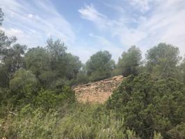 PRECIOSA FINCA RÚSTICA DE 14 Ha CON CONSTRUCCIÓN DE 50 MTRS2 A REHABLITAR EN EL TÉRMINO DE CAPÇANES, CON TODO TIPO DE S photo 0