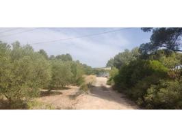 El Pla de Santa María: Presentamos esta encantadora finca rústica en Entorno Natural.. No es HIPOTECABLE Presentamos photo 0