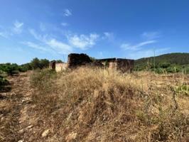 Bonastre: Presentamos esta encantadora finca rústica en Entorno Natural.. No es HIPOTECABLE  Presentamos esta enorme photo 0