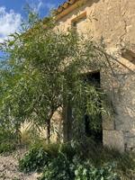 Terreno Urbanizable En venta en Afueras, Sant Joan photo 0