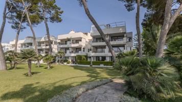 Planta Baja En alquiler en Port D Alcúdia - Platja D Alcúdia, Alcúdia photo 0