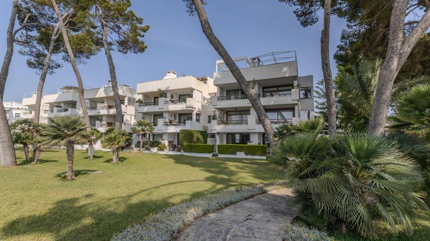 Planta Baja En alquiler en Port D Alcúdia - Platja D Alcúdia, Alcúdia photo 0