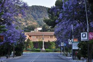 CASA DE LUJO EN PEDRALBES photo 0