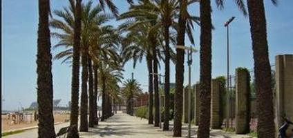 Solar en venta con Licencia Tramitada para Hotel de Nueva Construcción – 19 Habitaciones photo 0