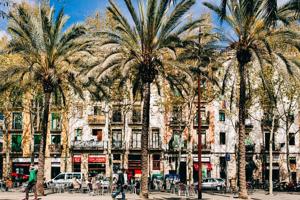 LOCAL EN RENTABILIDAD EN EL RAVAL DE BARCELONA photo 0