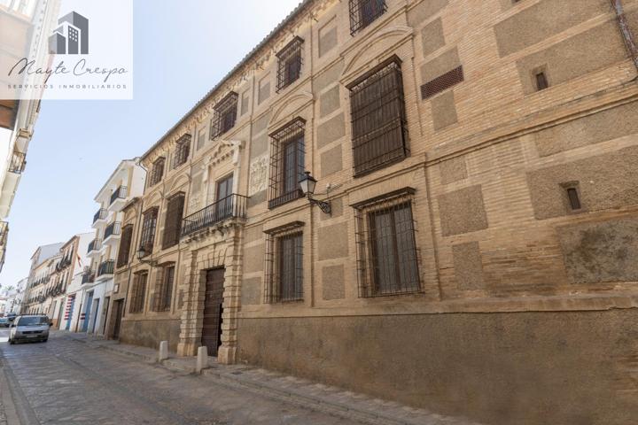 CASA PALACIO DE LOS MARQUESES DE ESCALONIA EN ANTEQUERA photo 0