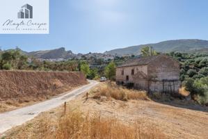 Venta de cortijo en Cogollos Vega photo 0