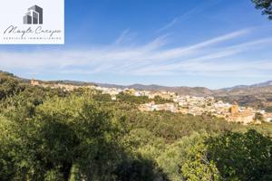 ¡Oportunidad única! Dos Fincas rústicas de mas de 15.000 m² en total en Pinos del Valle (Lecrín) photo 0