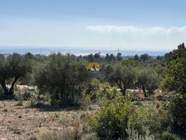 Terreno Urbanizable En venta en Vandellòs i l'Hospitalet de l'Infant photo 0