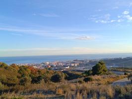 Finca Rustica a 6 minutos de Estepona en Coche desde Arrollo Juan Benitez. photo 0