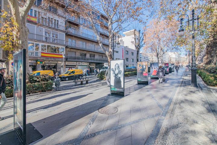 ATICAZO EN EL CORAZON DE GRANADA photo 0