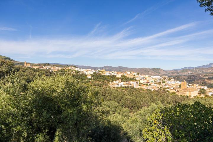 ¡Oportunidad única! Dos Fincas rústicas de mas de 15.000 m2 en total en Pinos del Valle (Lecrín) photo 0