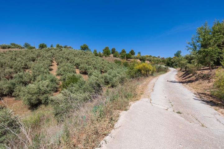 Estupendo terreno rustico photo 0