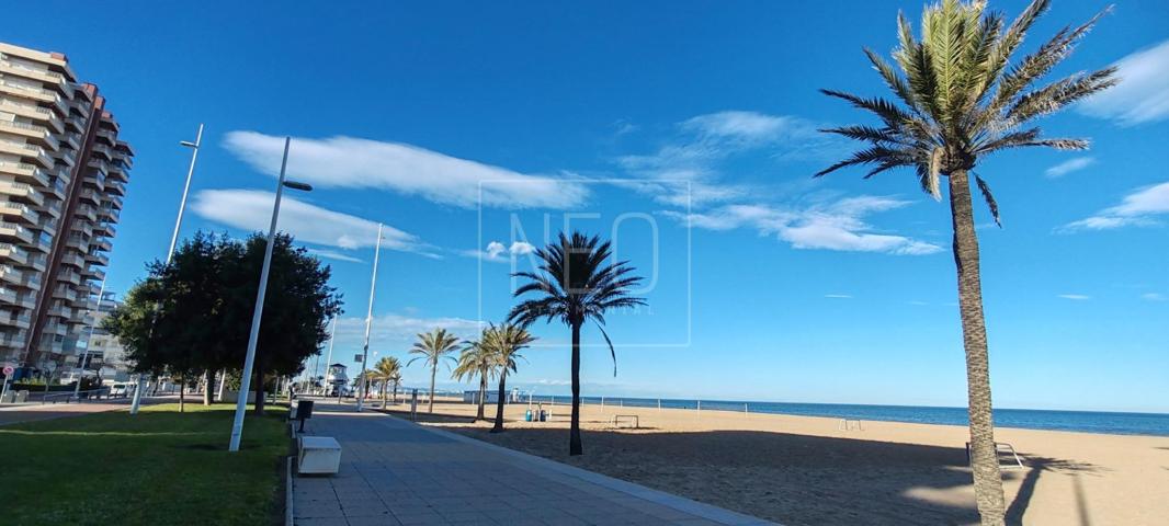 PISO EN CATALUNYA, PLAYA DE GANDIA photo 0