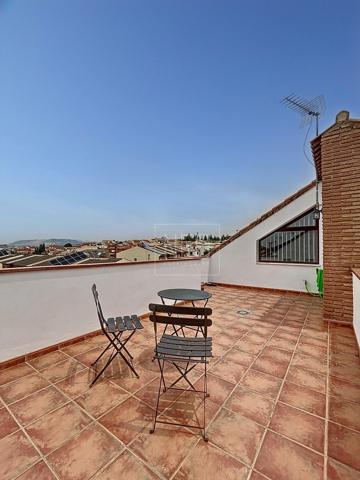 ADOSADO EN ANDALUCIA, GOJAR photo 0