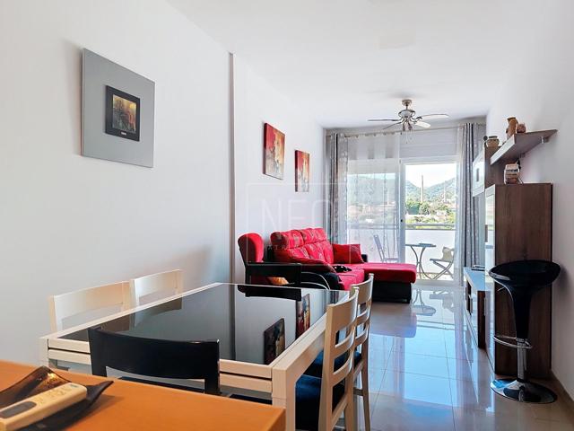 PISO EN SANTA CECILIA, OLIVA photo 0