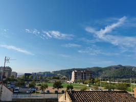 ADOSADO EN MAGDALENA, GANDIA photo 0
