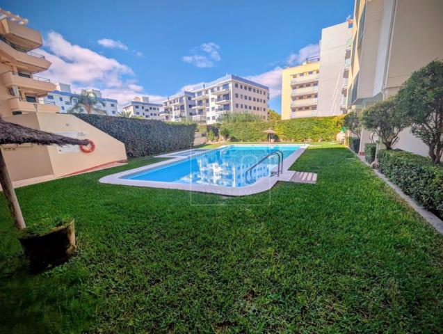 ATICO EN ROSA DELS VENTS, GUARDAMAR DE LA SAFOR photo 0